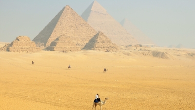 Биологи наконец выяснили, как в Египте появились мумии бабуинов