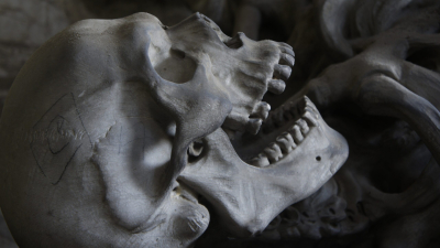 Антрополог обнаружил человеческий череп в магазине Северного Форт-Майерса