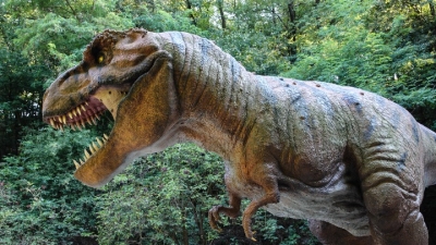 Канадские археологи узнали, какие секреты сохранил желудок молодого тираннозавра
