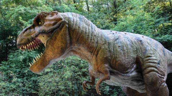 Канадские археологи узнали, какие секреты сохранил желудок молодого тираннозавра