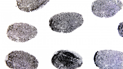 Новое открытие:  криминалисты сомневаются в уникальности отпечатков пальцев