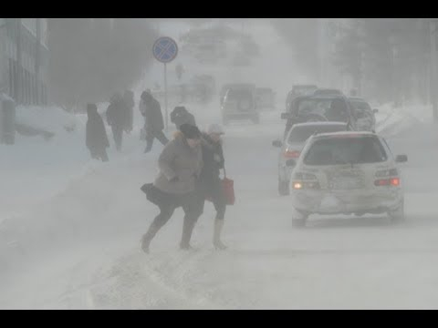 Владивостокские школьники сидят дома из-за ураганного ветра до 40 м/с