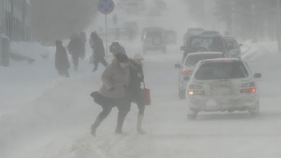 Владивостокские школьники сидят дома из-за ураганного ветра до 40 м/с