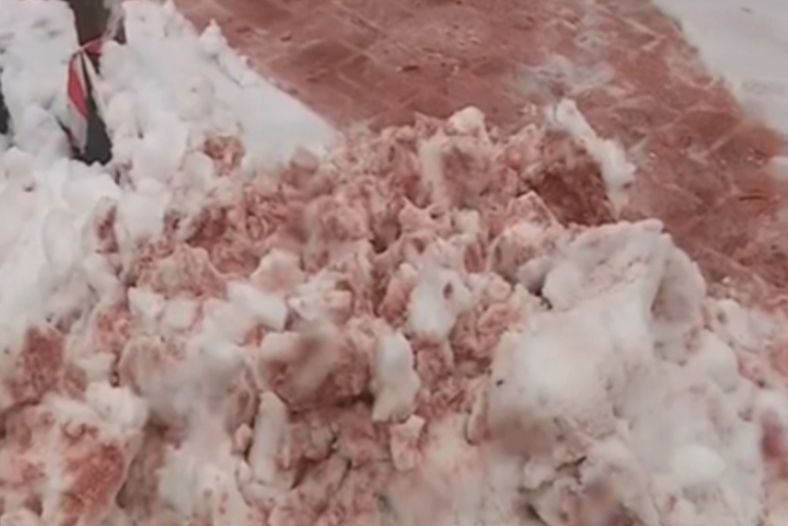 В акватории Приморья обнаружен «кровавый снег»