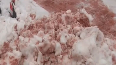 В акватории Приморья обнаружен «кровавый снег»