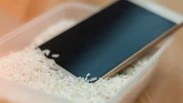 Рис оказался бесполезным для реанимации iPhone после затопления