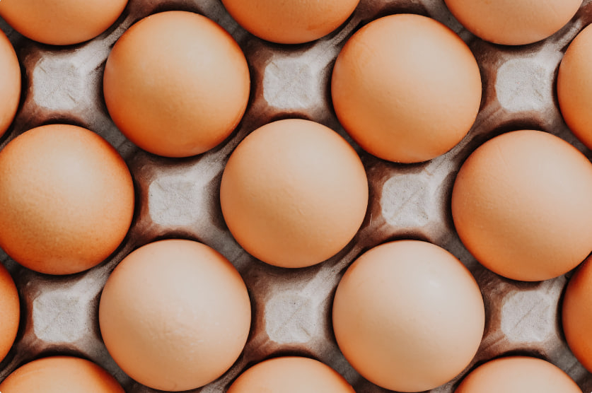 Как изменились цены на яйца в России — эксперт