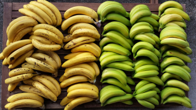 Почему мы ограничиваемся одним сортом бананов из 1000 доступных