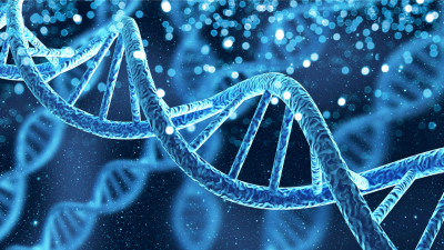 Инцест и его последствия: как генетические тесты раскрыли тайну США