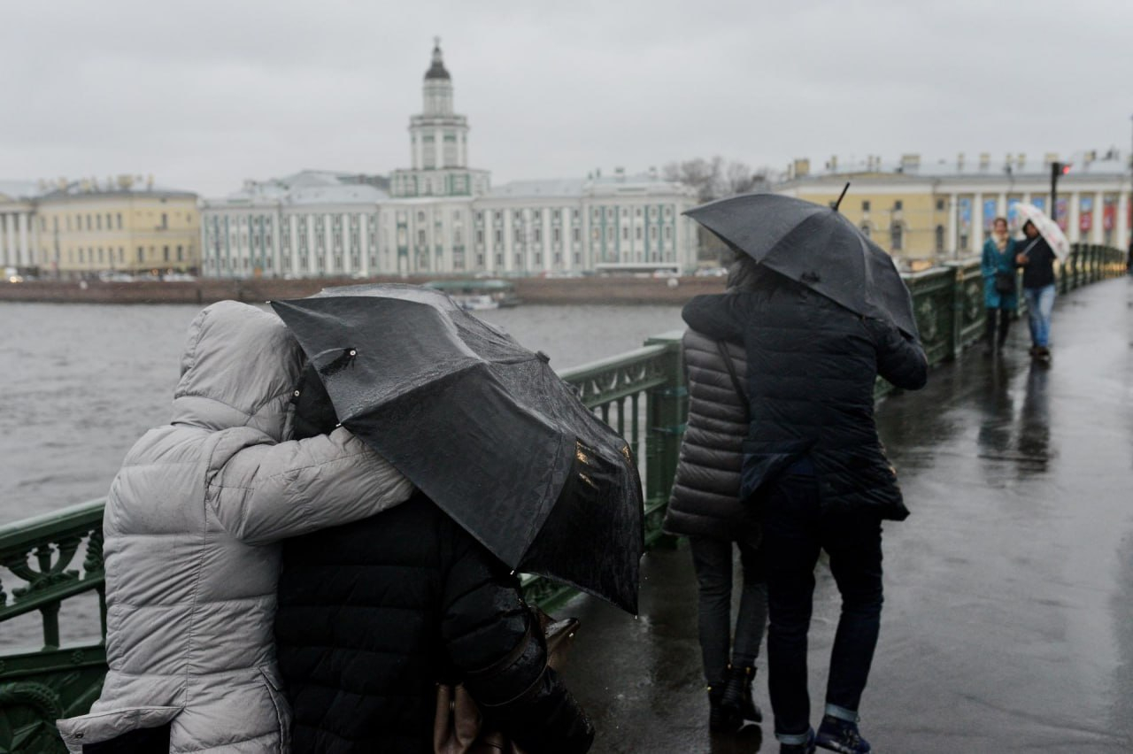 Петербург штормит. В городе введен желтый уровень погодной опасности