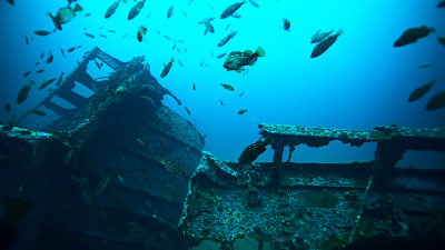 На дне океана возле Флориды обнаружены обломки корабля XVII века