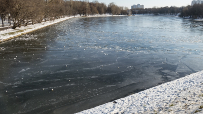 Жительница Подмосковья спасла собаку, рискуя жизнью в ледяной воде