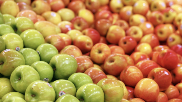 Может ли глобальное потепление навредить яблокам и как ученые планируют их спасать