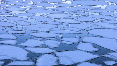 Таяние арктического льда влияет на усиление Эль-Ниньо — ученые