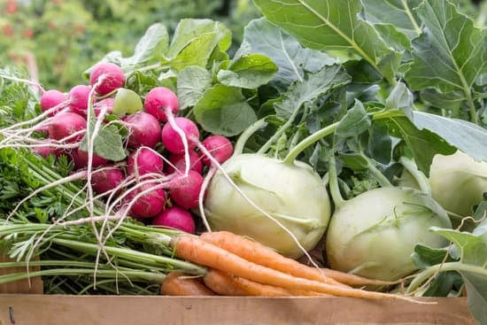 Что приготовить в мае: Вкусные и полезные рецепты из сезонных овощей и зеленушки