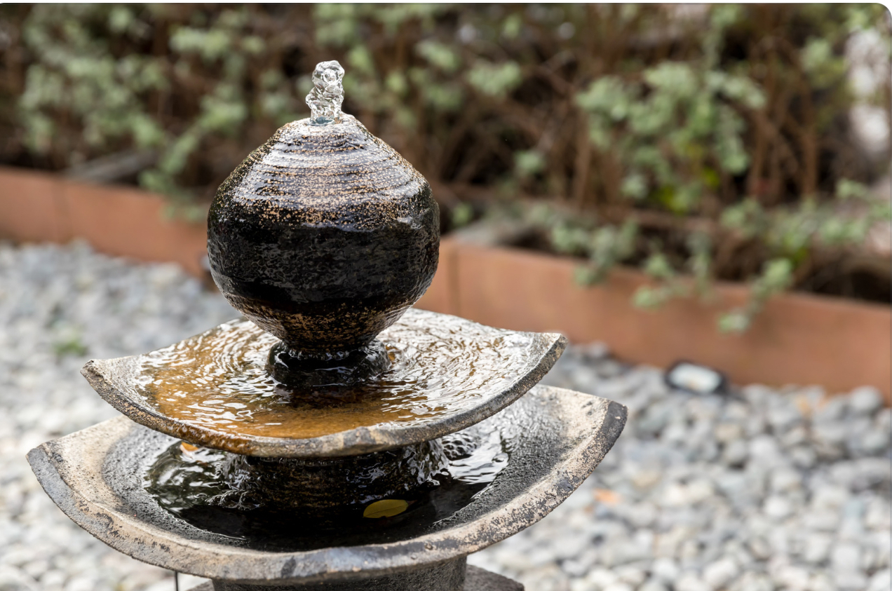 Садовник рассказала дешевый инновационный способ создать фонтан на даче