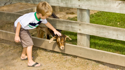 Биолог Глазков раскрыл опасность контактных зоопарков для детей