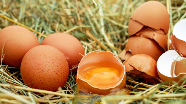 Спорный продукт: диетолог рассказал о пользе яиц