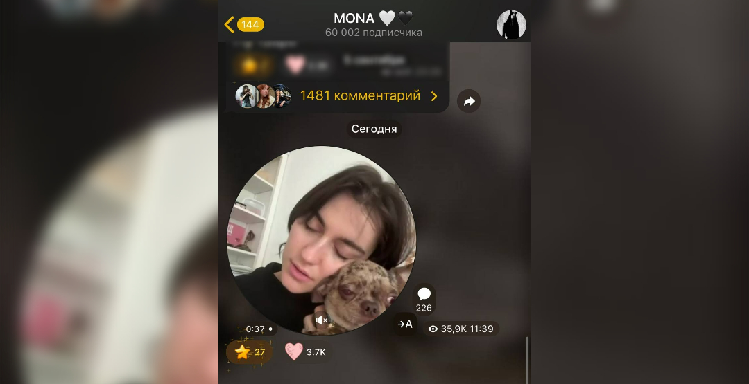 MONA показала ужасные условия в подмосковной зоогостинице для собак