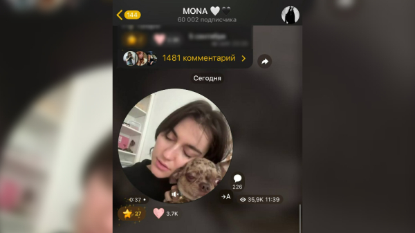 MONA показала ужасные условия в подмосковной зоогостинице для собак