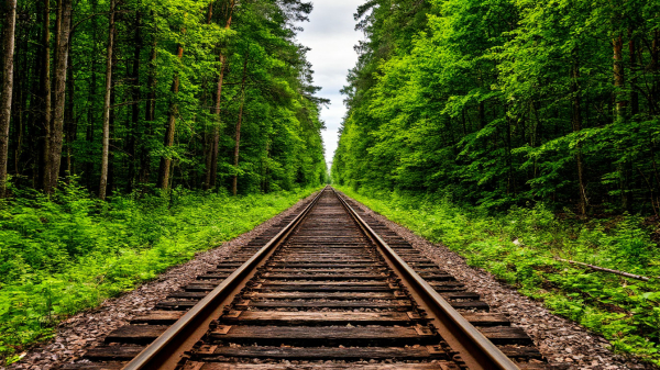 Польские исследователи заявили, что нашли поезд с сокровищами времен войны