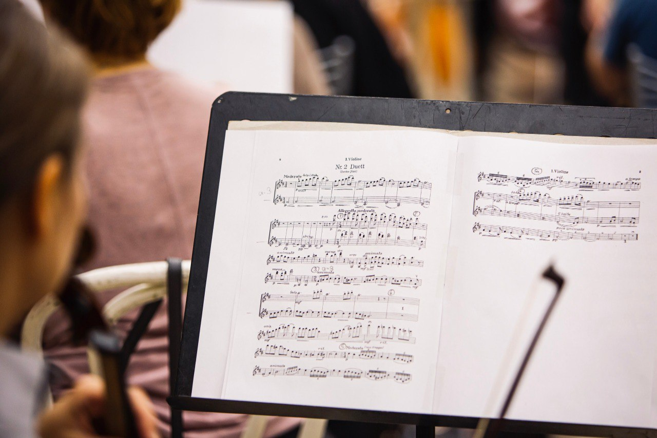 В Петербурге Театр музкомедии анонсировал премьеру оперетты «Цыганская любовь»