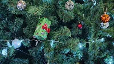 Стали известны звездные участники шоу «Новогоднее новоселье»