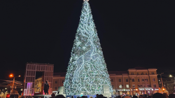 Якутск первым в стране зажег новогоднюю елку