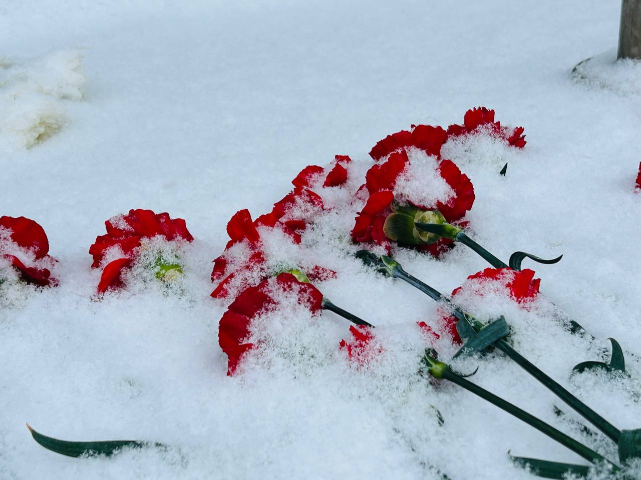 В Петербурге насчитывается 37 тысяч блокадников из числа заставших войну людей