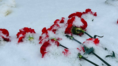 В Петербурге насчитывается 37 тысяч блокадников из числа заставших войну людей