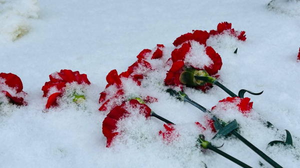 В Петербурге насчитывается 37 тысяч блокадников из числа заставших войну людей